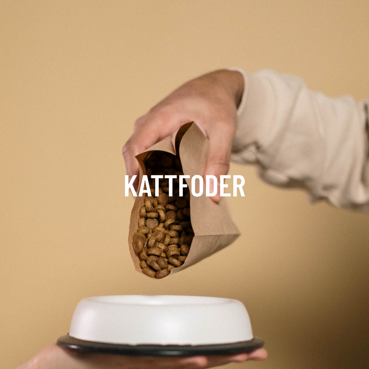 Kattfoder
