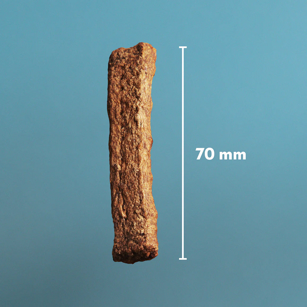 PrimaDog Northern Treats Bars Lamm & Lax