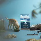PrimaDog Adult Sensitive Hjort & Kalkon GF