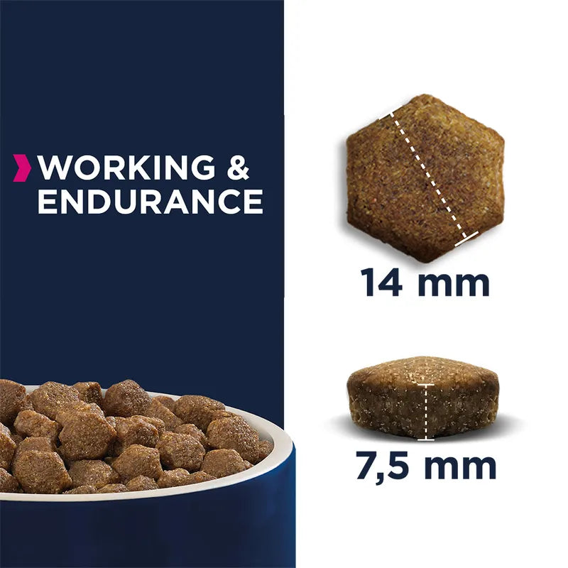 Eukanuba Daily Care Working & Endurance Adult