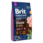Brit Premium by Nature Junior S (Small)