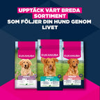 Eukanuba Premium Nutrition Adult Large & Giant Breed Lamb & Rice