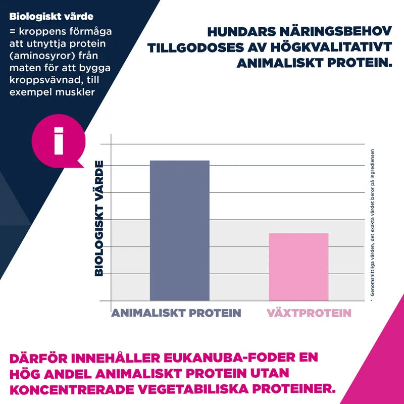 Eukanuba Premium Nutrition Adult Large & Giant Breed Lamb & Rice