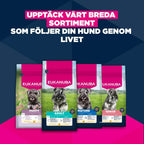 Eukanuba Premium Nutrition Senior Small Breed Chicken
