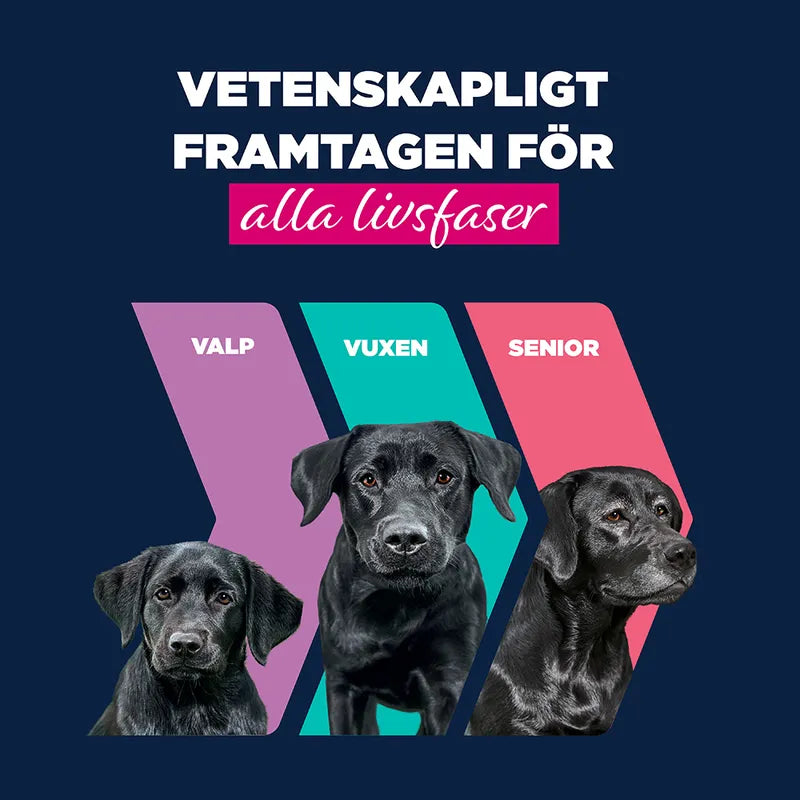 Eukanuba Puppy Rich in nötkött med pumpa
