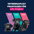 Eukanuba Puppy Rich in nötkött med pumpa