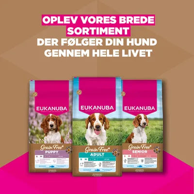 Eukanuba Spannmålsfri Senior Small & Medium med marin fisk