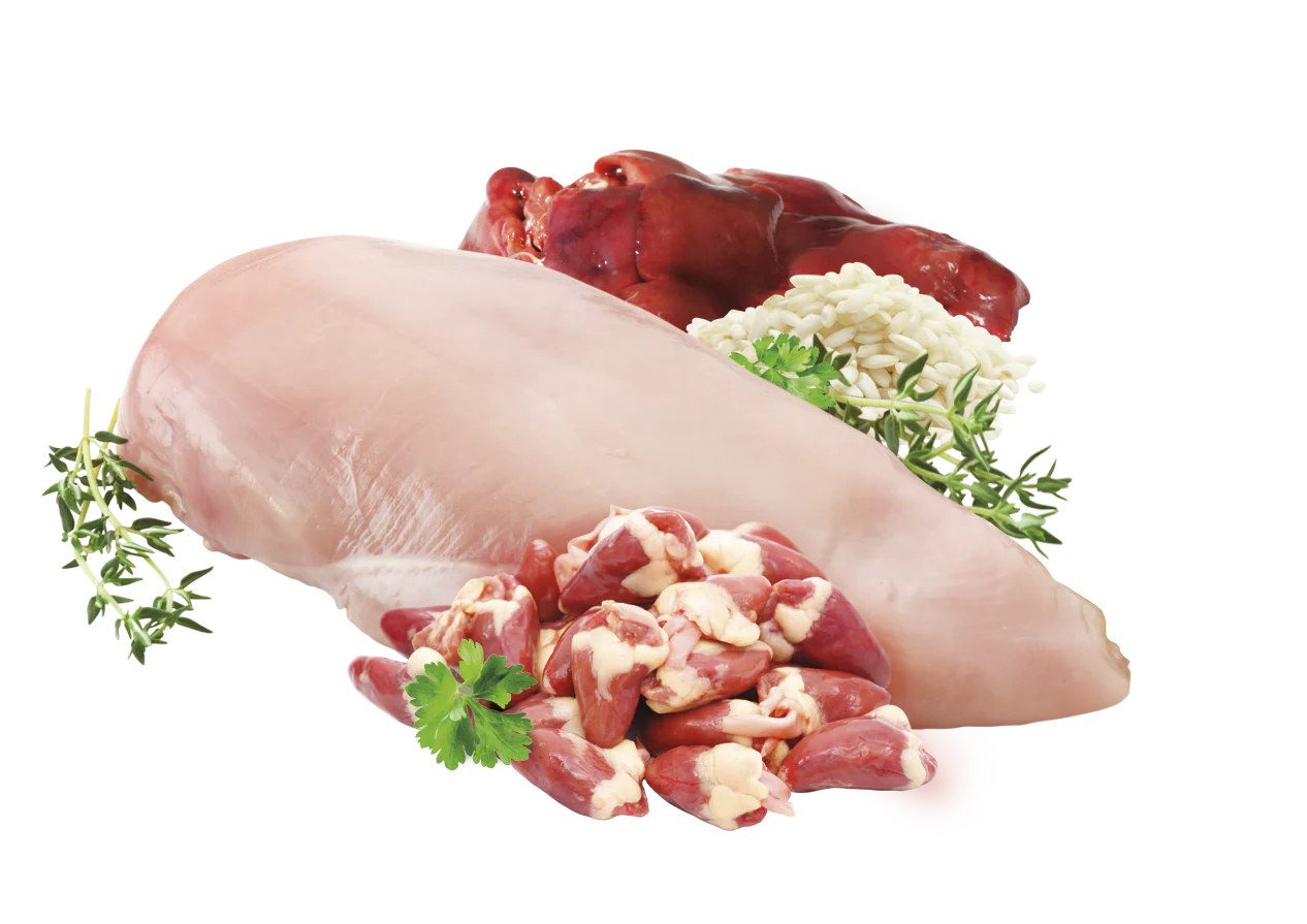 Brit Premium Korv Kyckling