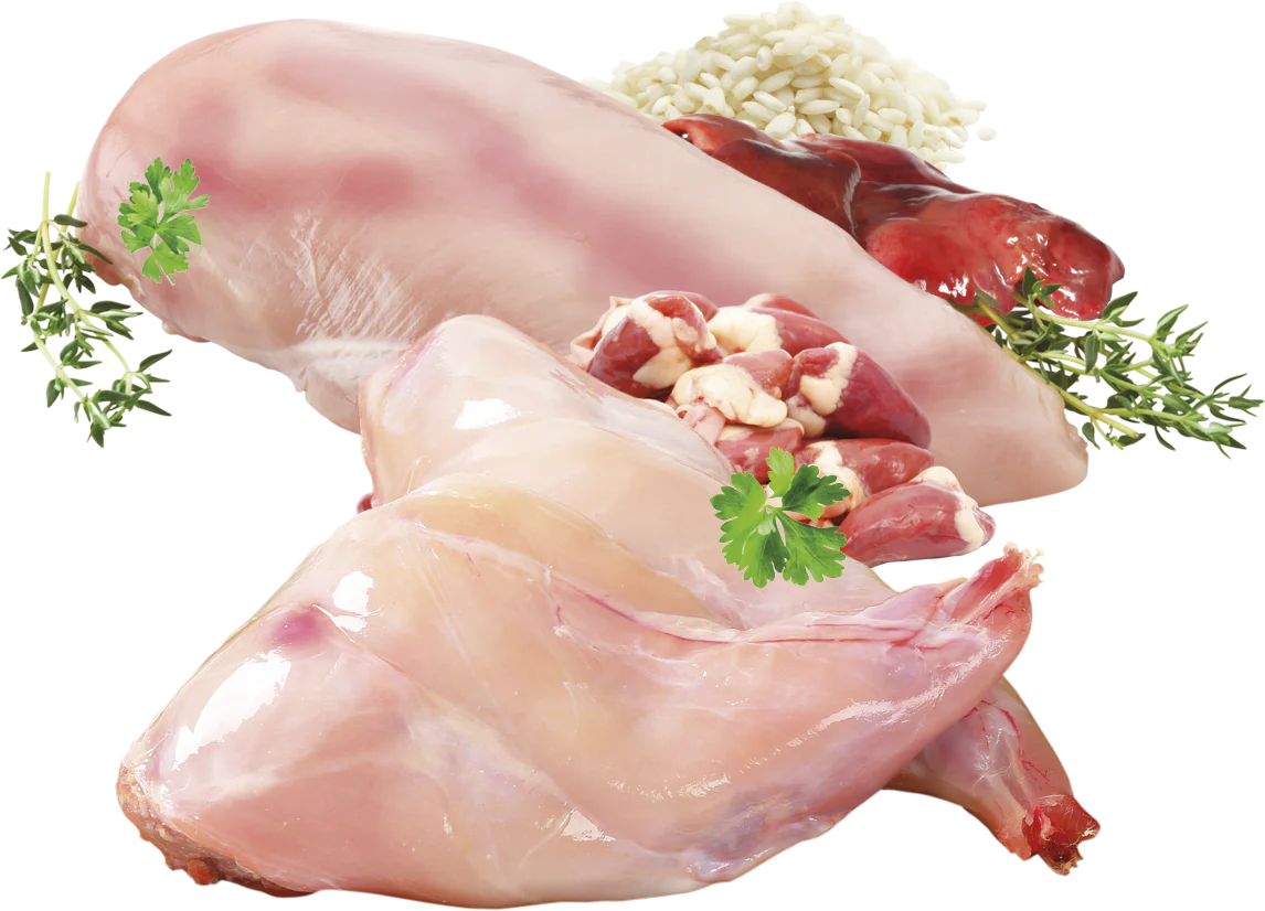 Brit Premium Korv Kyckling & Kanin