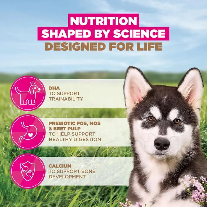 Eukanuba Grain Free Large Breed Ocean Fish Puppy Food