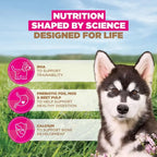 Eukanuba Grain Free Large Breed Ocean Fish Puppy Food