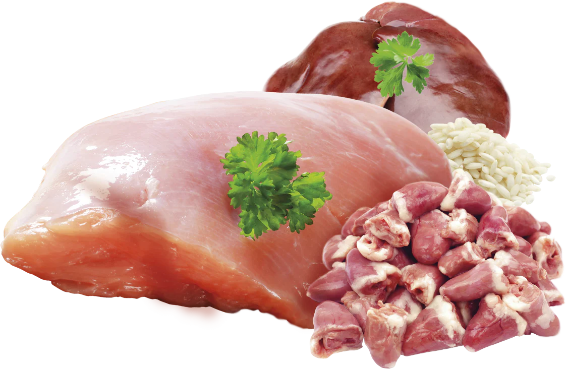 Brit Premium Korv Kalkon