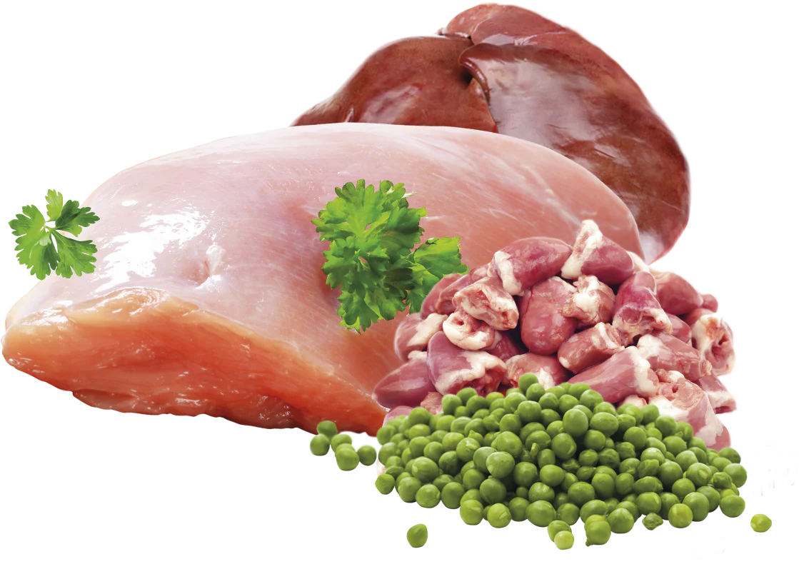 Brit Premium Korv Kalkon & Ärtor